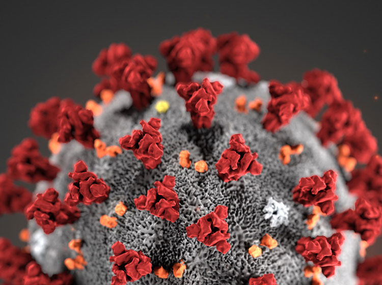 Sanificazione e Disinfezione a Ozono